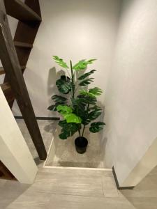 Fotografie z fotogalerie ubytování 長橋屋 v Osace