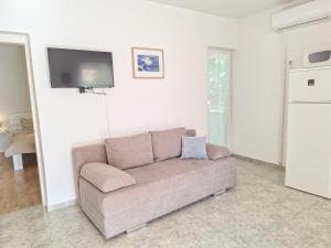 Televiisor ja/või meelelahutuskeskus majutusasutuses Sunny Garden Čižići Krk