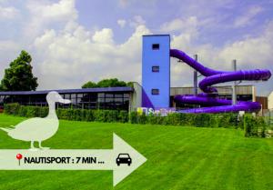 a swan is standing in front of a water park at Le gîte du Canard boiteux in Silly