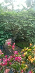 Afbeelding uit fotogalerij van 2 AC Room in KUTHUPARAMBA in Kottayam +6 foto's