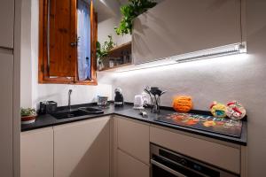 a kitchen with a sink and a counter top at La Nicchia Apartment- Centralissimo in Siena