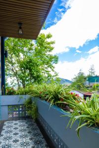 a porch with plants on the side of a house at Color House Sa Pa - Free BBQ in Sapa