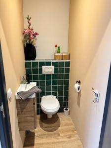 a green tiled bathroom with a toilet and a sink at Fun-Size holiday home Zwolle in Zwolle +4 photos