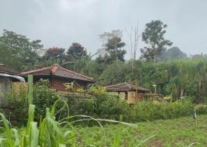 a house in the middle of a field at Yucan Ecostay Bedugul in Bedugul