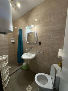 Koupelna v ubytování Apartmán Šipková