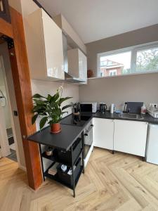 a kitchen with white cabinets and a black counter top at Rijks Lodge Wassenaar in Wassenaar