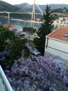 Fotografia z galérie ubytovania Wisteria Apartment v Dubrovníku