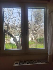 a window with a view of a tree at appartamento nuovo fra alberi e trulli in Martina Franca
