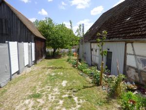 un vicolo tra due edifici con erbacce di Ferienwohnung Waldblick Schönbronn a Buch am Wald