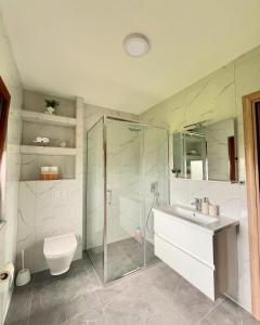 a bathroom with a shower and a sink and a toilet at Apartman Lucija in Rumboci