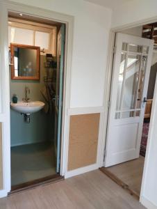 un bagno con lavandino e specchio di Vakantie Appartement Klavertje 4 in Laren Gld a Laren