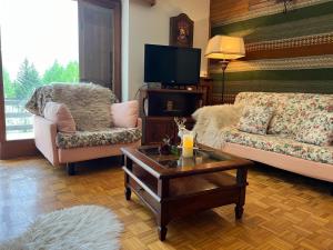 Posezení v ubytování Menz campiglio