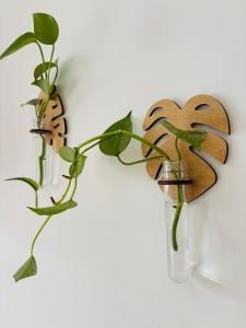 two vases with plants in them on a wall at PURA B&b in Noicattaro