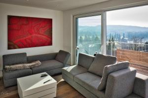 a living room with two couches and a large window at Panoramahaus Pool in Weil am Rhein