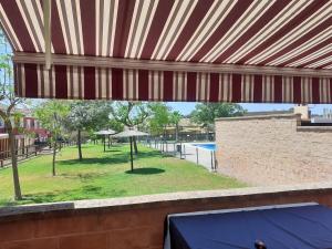 a view of a park with an umbrella and a table at Casa El Garrobo in El Garrobo +8 photos
