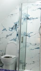 a bathroom with a toilet and a glass shower at Sarahs Home Away from Home Luxury Apartment in Ennis
