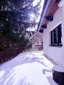 a snow covered yard with a fence and a tree at Horská chata Eliška in Pec pod Sněžkou
