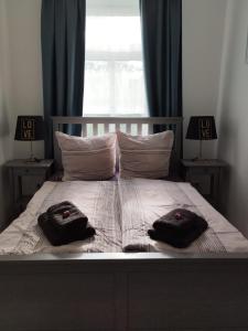 Una cama con dos almohadas y una ventana. en Mikra Homes24 in Chemnitz, en Chemnitz