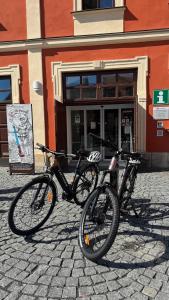 Jízda na kole v ubytování Apartmány Myslivna nebo okolí