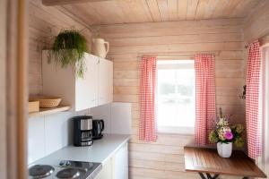 a kitchen with wooden walls and a window at Moerenhof Blockhütte Xanten in Xanten