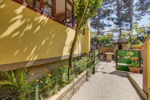 Zahrada ubytování Apartments Petra