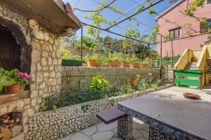 Zahrada ubytování Apartments Petra