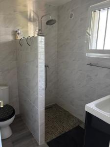 a bathroom with a shower with a toilet and a sink at La Kaz Iléou in Saint-Joseph