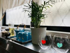 two wine glasses and a potted plant on a counter at inn2nd101 in Kurashiki
