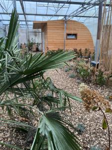 a garden with many plants in a greenhouse at Luxurious Tiny House with HotTub in Rijsenhout