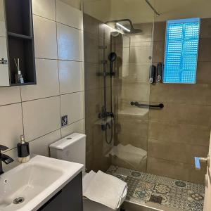 Un baño con ducha, lavabo e inodoro. en Dolphin Apartment, en Stalida