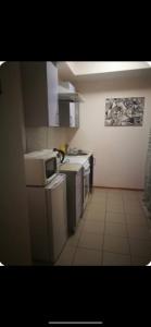 Η κουζίνα ή μικρή κουζίνα στο Мост Сити