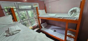 ダージリンにあるCafe and Stay Hostelのギャラリーの写真