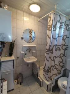 a bathroom with a sink and a shower curtain at Agroturystyka Pod Olchami in Lipowiec
