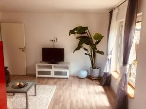 a living room with a television and a potted plant at Das Tor zum Sauerland in Büren