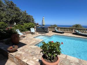 a swimming pool with chairs and plants next to it at RDC maison de maitre pour 6 personnes avec piscine et jacuzzi in Bastia