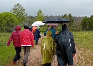 eine Gruppe von Menschen, die mit Regenschirmen einen Weg entlang gehen in der Unterkunft Apartamento Rural Dehesa de Solanillos in Mazarete