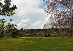 eine Wiese mit Pferden im Hintergrund in der Unterkunft Apartamento Rural Dehesa de Solanillos in Mazarete