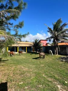 Fotografie z fotogalerie ubytování Rancho Atalaia - Luís Correia v destinaci Luis Correia