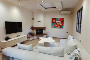 Μια τηλεόραση ή/και κέντρο ψυχαγωγίας στο Private Villa With Garden And Comfort - Close To City Center