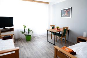 Televiisor ja/või meelelahutuskeskus majutusasutuses Hotel Cementář