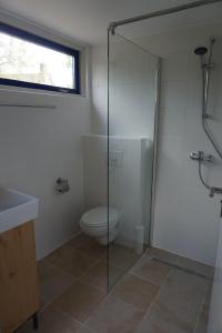 a bathroom with a toilet and a glass shower at Het Duintje in Castricum