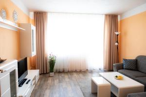 Televiisor ja/või meelelahutuskeskus majutusasutuses Hotel Cementář