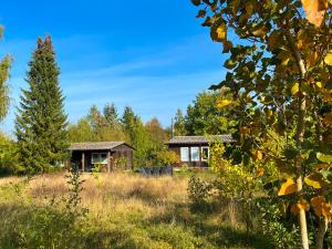 Κήπος έξω από το Haus 8 am Grimnitzsee mit Sauna