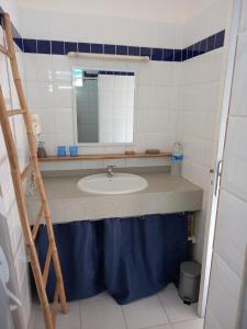 a bathroom with a sink and a mirror at studio 105 hamaca grand bourg marie galante in Grand-Bourg +7 photos
