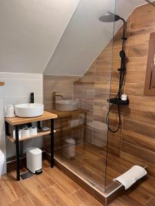 a bathroom with a sink and a glass shower at Cabana Anda in Călăţele
