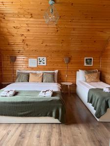 two beds in a room with wooden walls and wooden floors at Cabana Anda in Călăţele