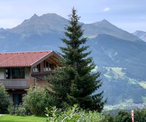 a pine tree in front of a house with a mountain at Kitzbüheler Alpenlodge Bergblick Suite in Mittersill
