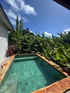 Piscina a Dolphin Hotel o a prop