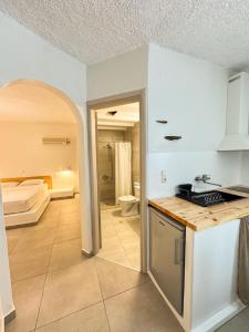 A kitchen or kitchenette at Filoxenia Apartments