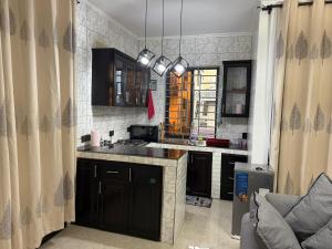 Køkken eller tekøkken på DC Apartment Near USA Embassy + 3 billeder